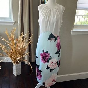 Ted Baker NWT Annile Midi Dress